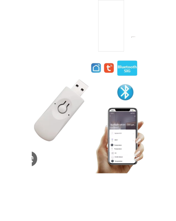 Detalles del adjunto gateway